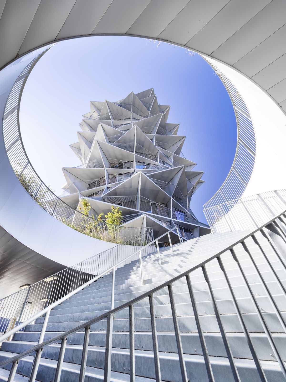 Kaktus Tower c Carsten Brügmann